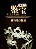 重生鉴宝我没想当专家无防盗