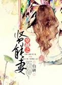 穿越贤能妻