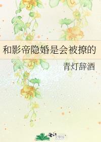 和影帝隐婚后无弹窗