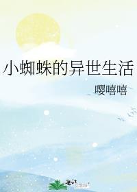小蜘蛛之旅