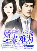 闪婚爱妻