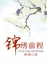 锦绣前程在线阅读