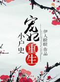 宠妃重生小户史 伊人睽睽