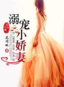 钻石闪婚之溺宠小娇妻番外