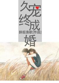 久宠终成婚简介