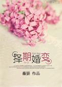 择期婚变by薇景