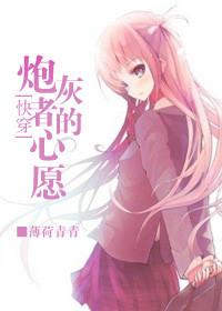 快穿炮灰者的心愿 百度