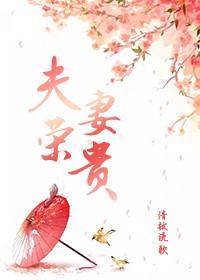 夫荣妻贵清越流歌笔趣阁