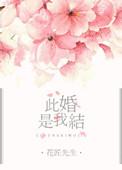 此婚了了结局