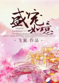 盛宠如意魏如玉宋景焱