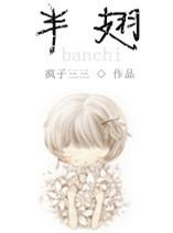 半翅目蝽科
