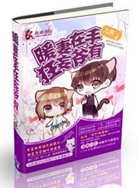 暖妻太缠人