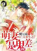 重生之萌妻甜甜哒