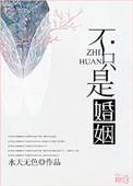 不只是婚姻by水天无色