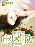 豪门隐婚之叶少难防资源