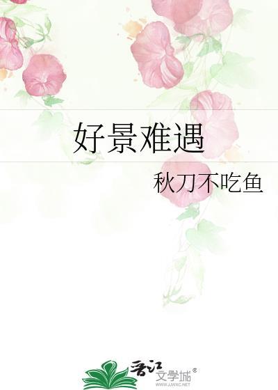 好景难遇如我一般是什么意思