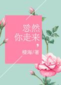忽然你走来大结局