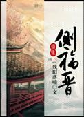 重生侧福晋婉宁