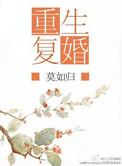 重生复婚 莫如归的作品