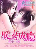 暖妻成瘾结局是什么