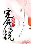 穿越之宠婚简介