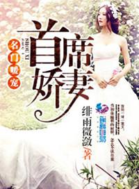 名门暖婚首席娇妻