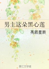 男主这朵黑心莲男主是谁
