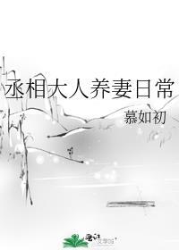 丞相大人养妻日常慕如初