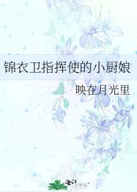 有羽倾舟txt