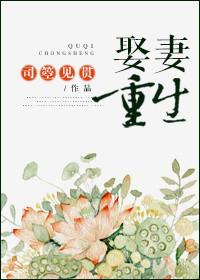 娶妻娶娇免费阅读