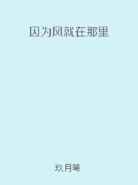 因为风就在那里未删减