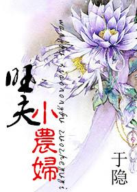旺夫小农妇电视剧