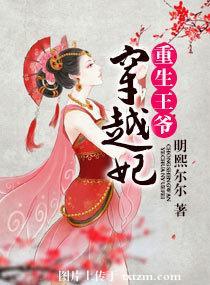 重生王爷宠妃