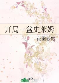 开局一只史莱姆等级