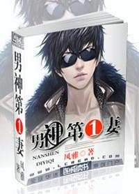 男神第一妻TXT