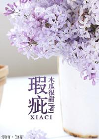 瑕疵读音