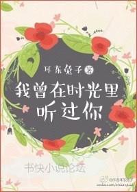 我曾在时光里听过你h
