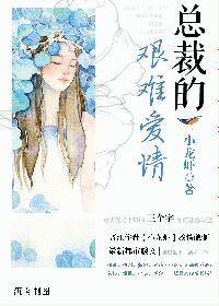 帅总裁的艰难爱情