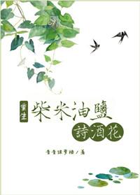 柴米油盐诗酒花好看吗
