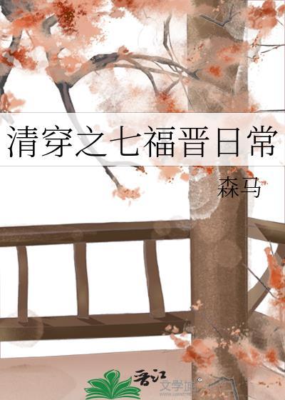 清穿七福晋晋江