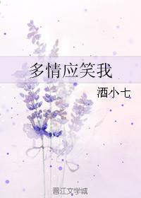 多情应笑我 酒小七