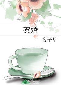 惹婚txt全文番外