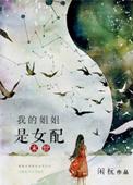 我的姐姐是meinv