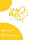 穿越古代嫁了个痞子书包网