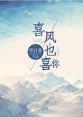 喜风也喜你免费阅读无弹窗
