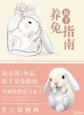 新手养兔