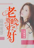 老婆晚安免费阅读