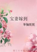 宝妻来袭全文免费阅读