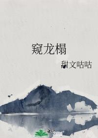 窥龙榻剧透