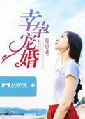 幸孕宠妻是什么
